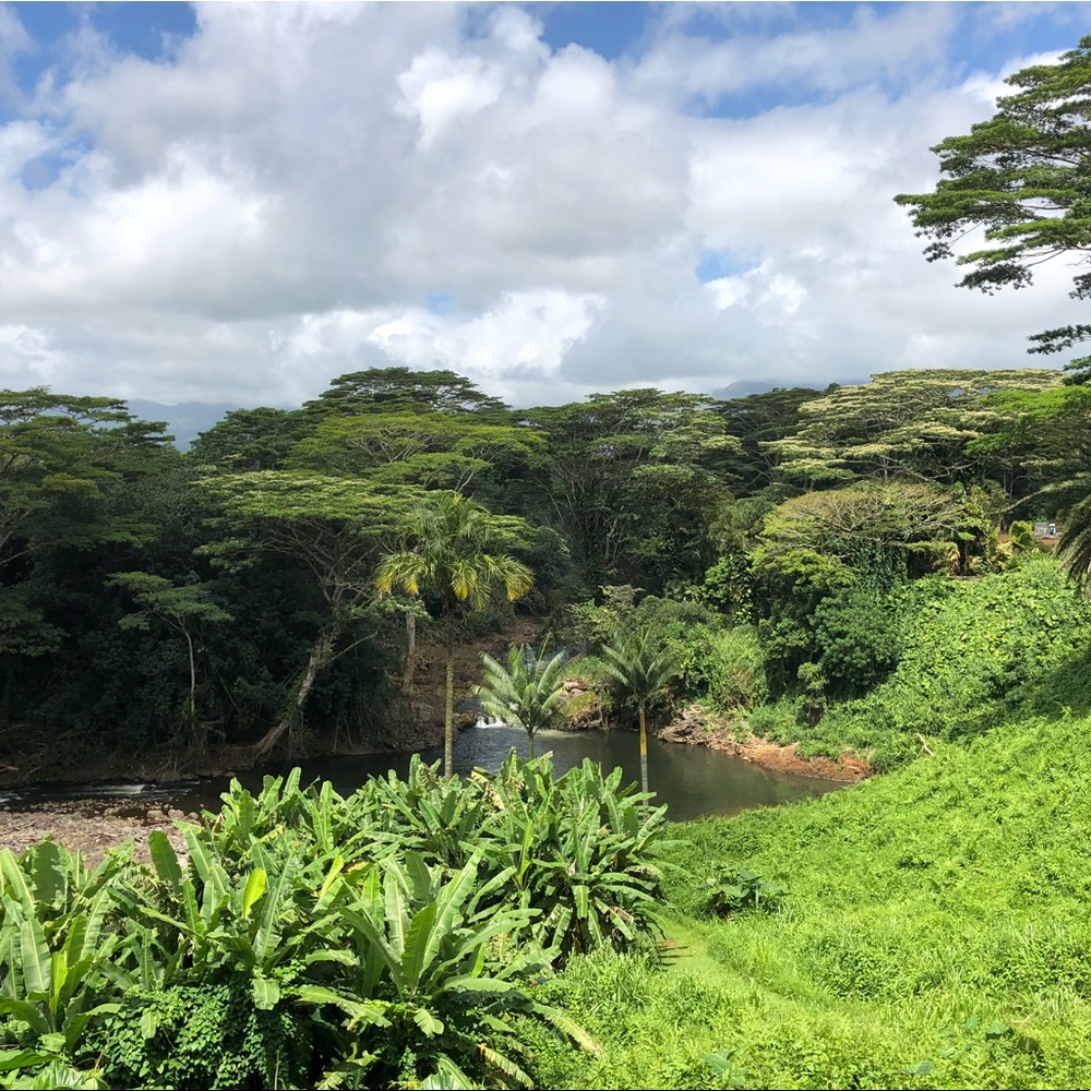 Meet your Posher, Kristin